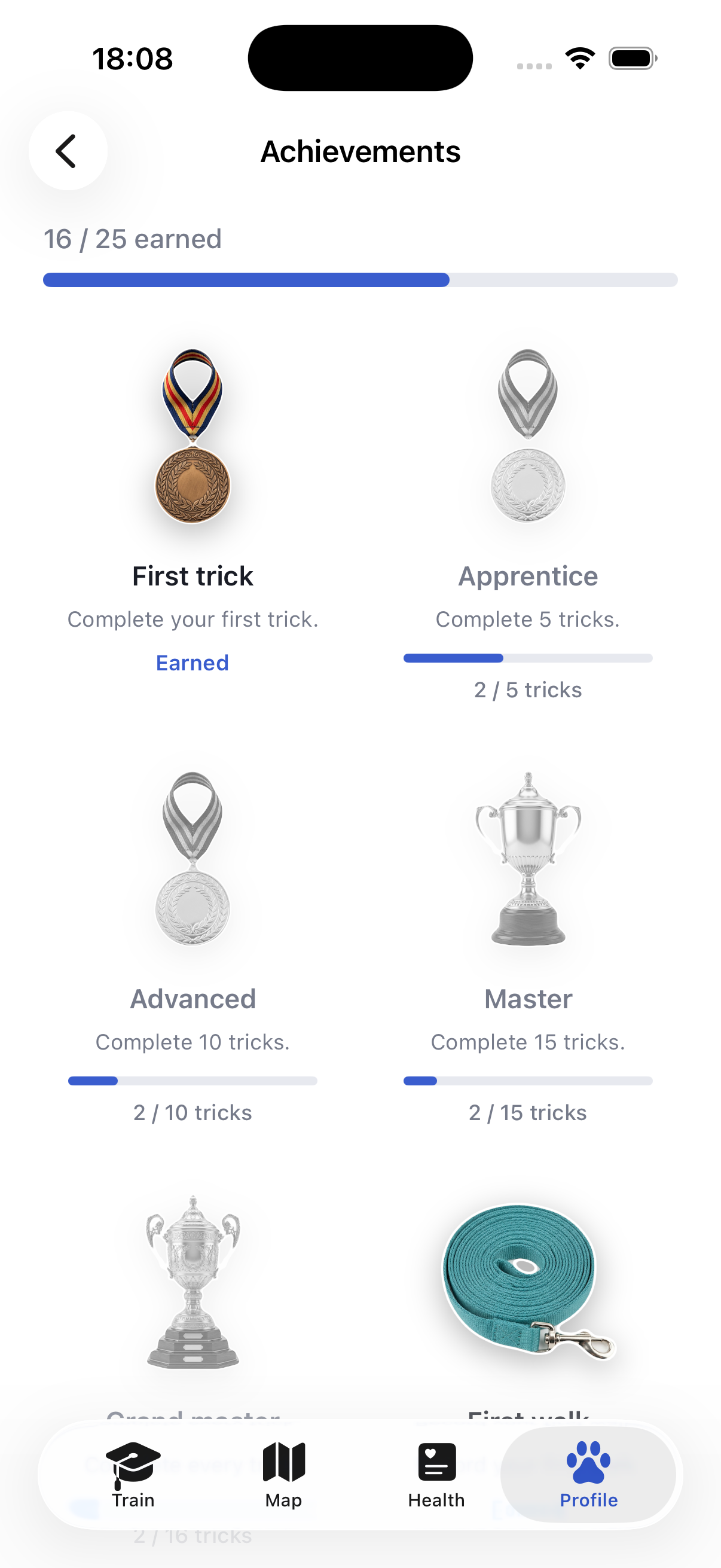 Achievements and streaks in Ruffy