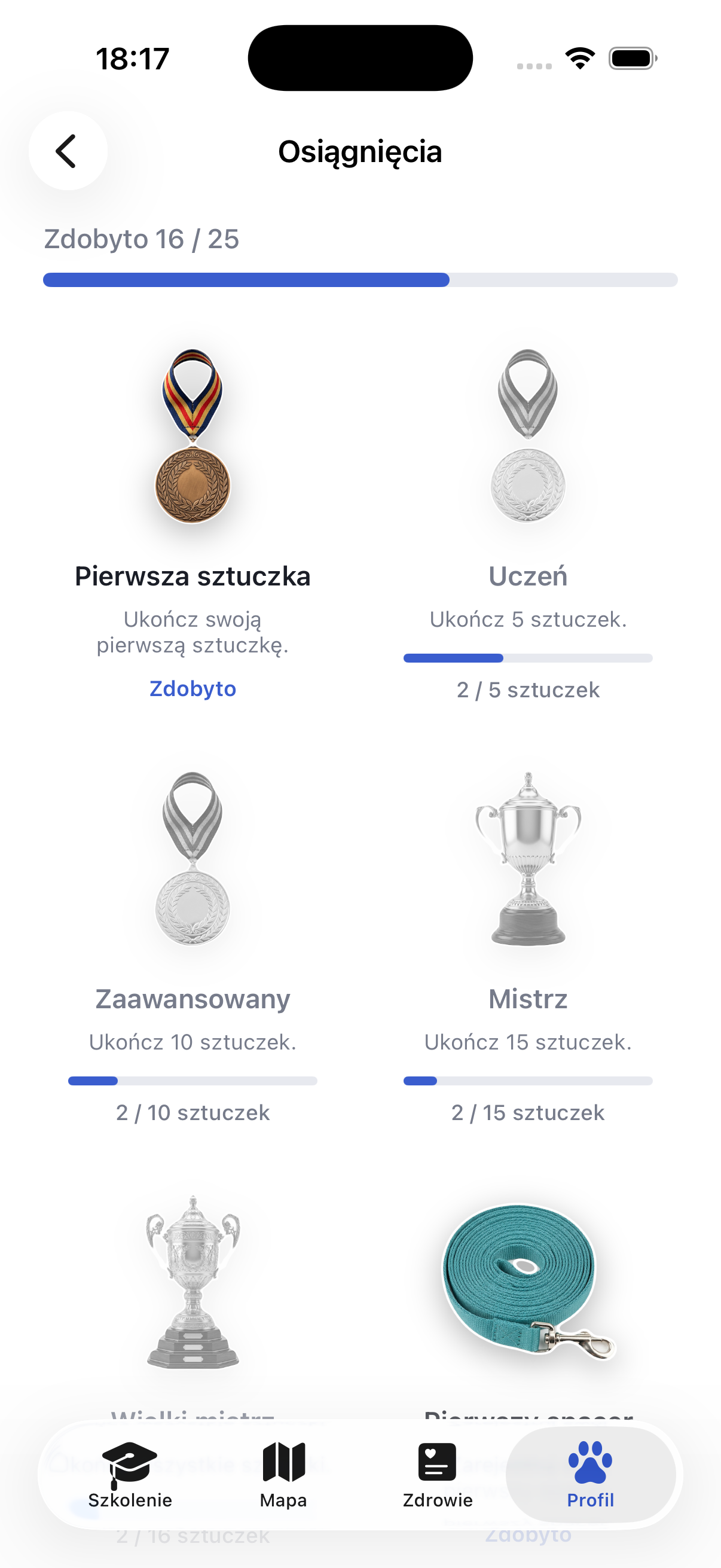 Osiągnięcia i serie w Ruffy