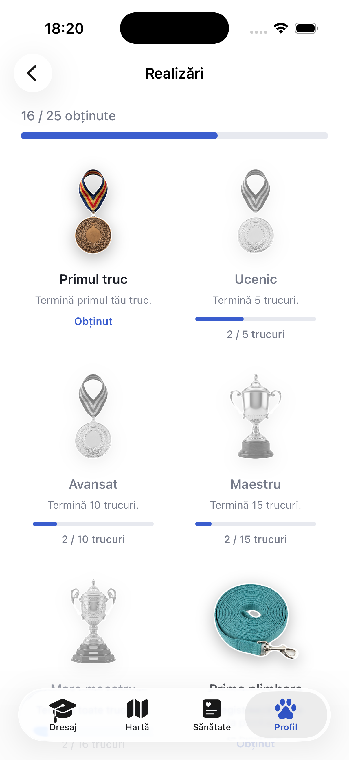 Realizări și serii în Ruffy