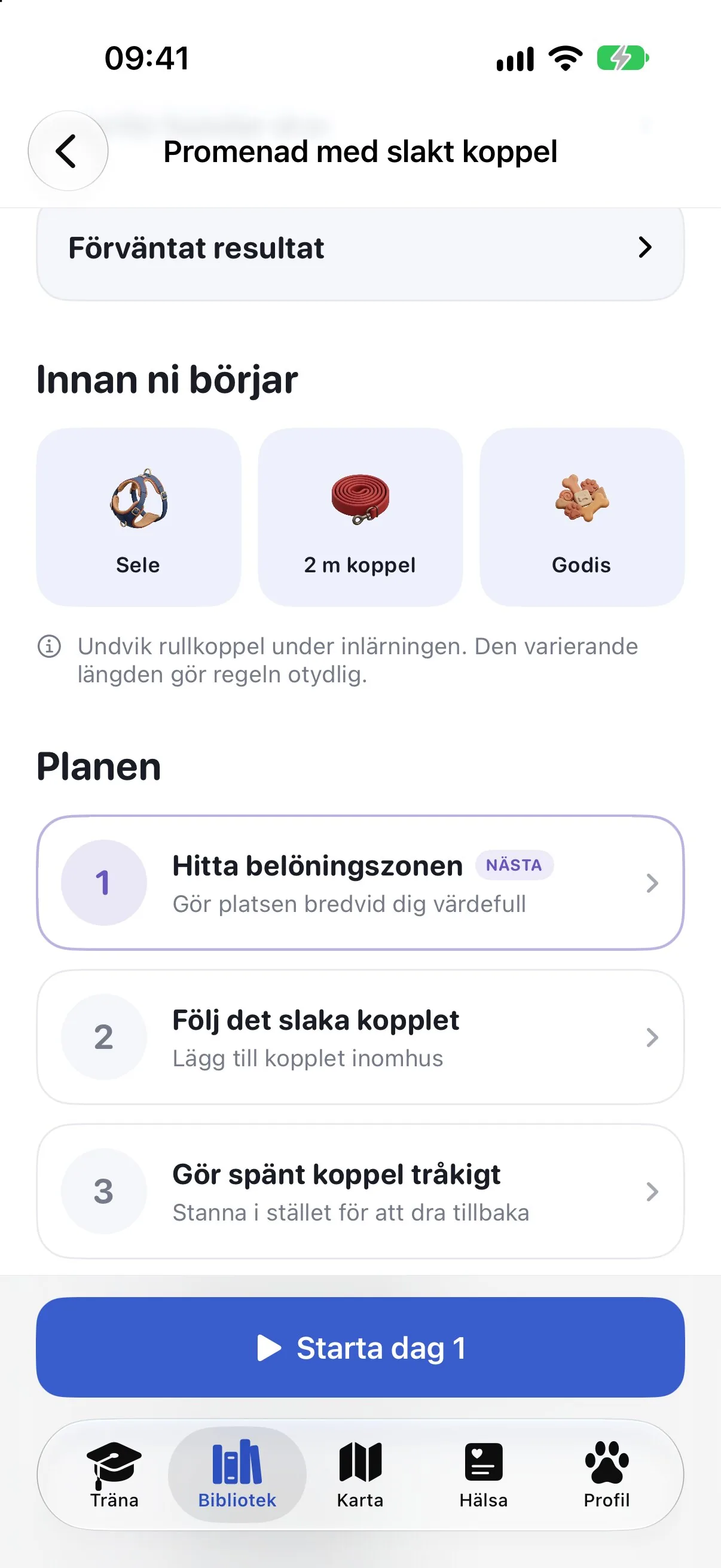Ruffys plan för promenad med slakt koppel, med utrustningen du behöver och de första dagarna