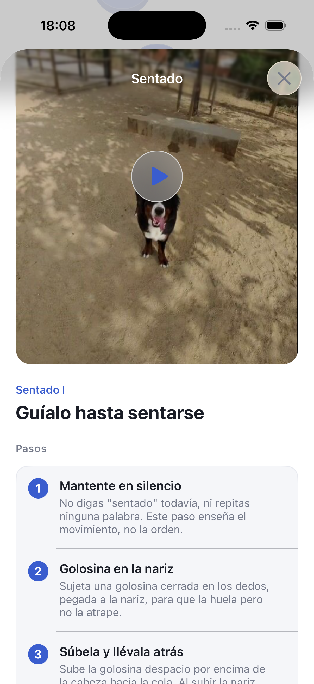 Adiestra a tu perro en 5 minutos al día