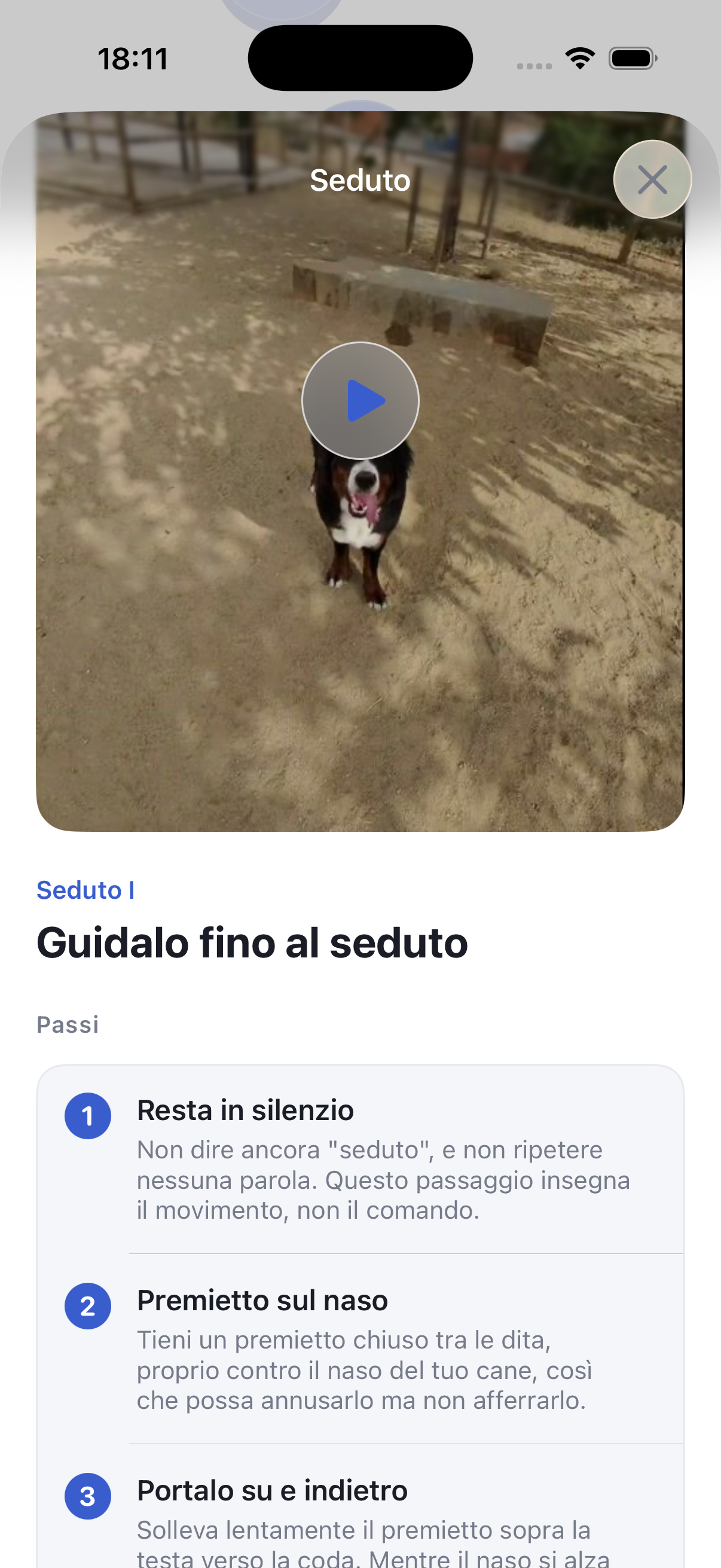 Addestra il tuo cane in 5 minuti al giorno