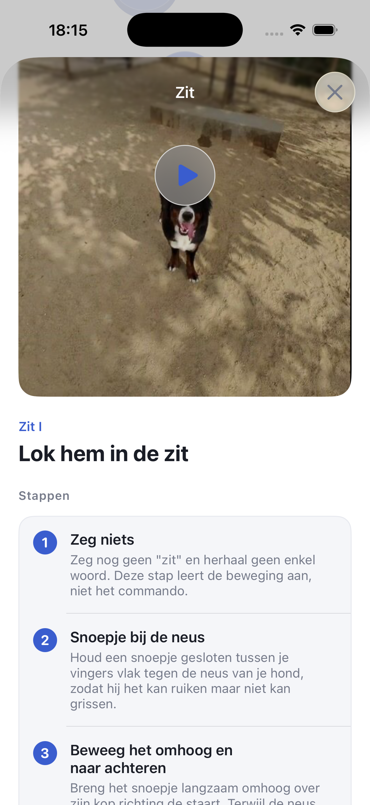 Train je hond in 5 minuten per dag
