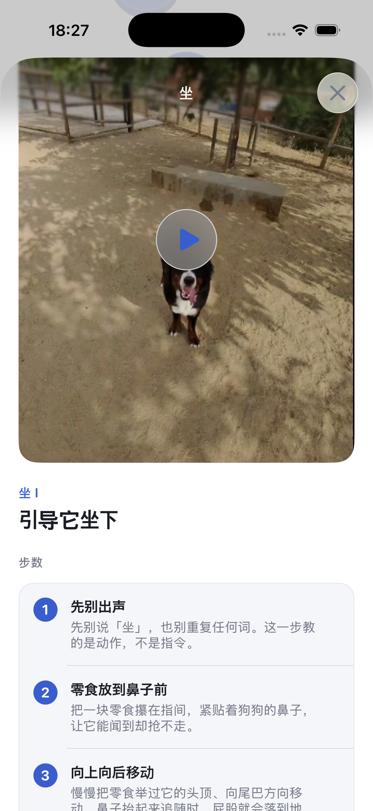 每天5分钟，训练你的狗狗